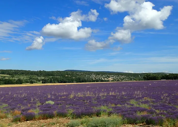 Gite De L\'Aspa