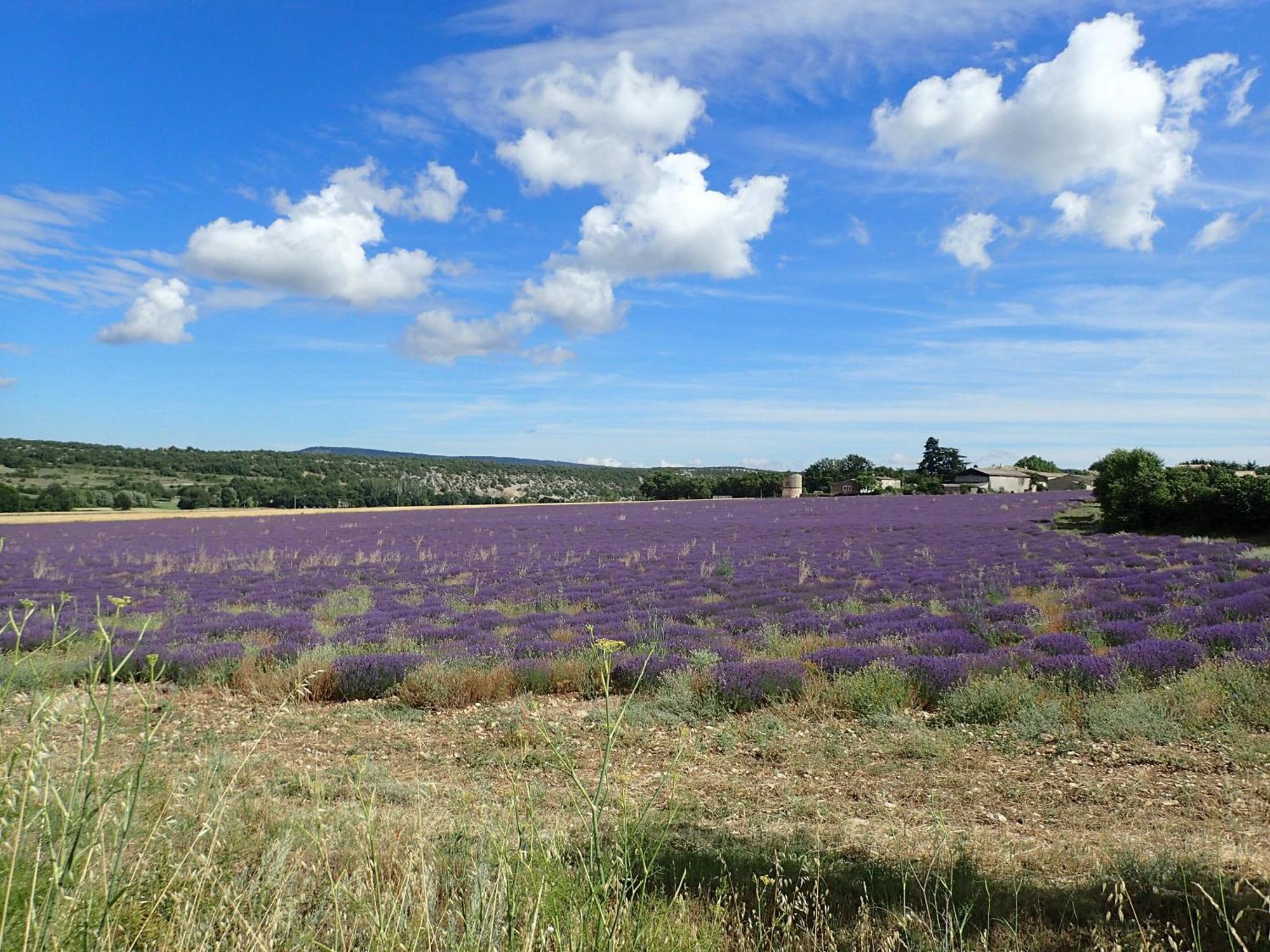 De L'aspa Holiday home
